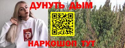 дмт Новозыбков