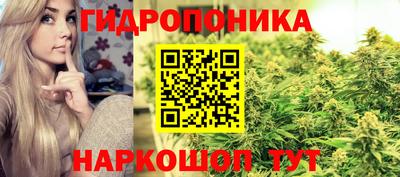 дмт Новозыбков