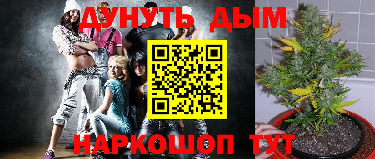 Канабис Bruce Banner Славянск-на-Кубани
